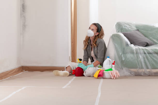Reliable Mold Inspection contractor in Winter Garden, FL by WQB Mold Removal